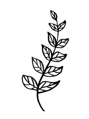 Leaf, herbs grass hand drawn doodle sketch. Vector illustration single of cartoon botanical plant. Isolated on white background.