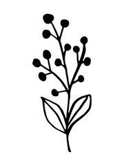 Leaf, herbs grass hand drawn doodle sketch. Vector illustration single of cartoon botanical plant. Isolated on white background.