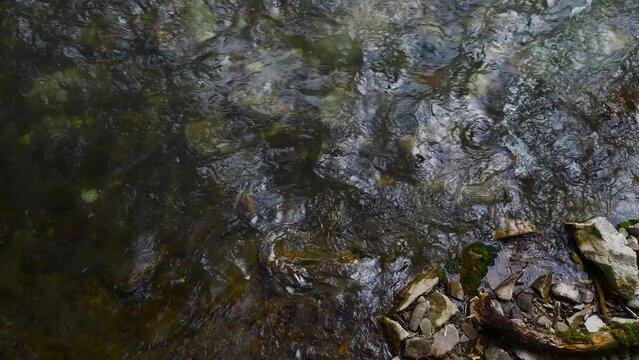 Mountain river, a spring in the mountains.clear water flows between the stones and sparkles in the sun, view from above