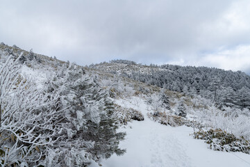 雪が積もった山　富士見台高原