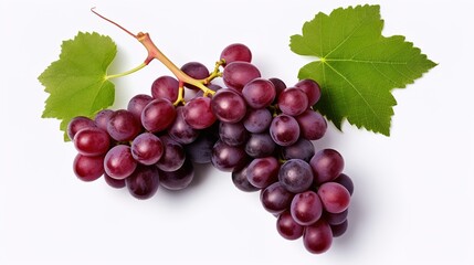 Fototapeta premium Vibrant and Juicy Fresh Grapes, Harvested from an Organic Vineyard, Isolated on a Clean White Background, Showcasing the Natural Beauty and Ripe Bounty of Grape Clusters in Close-Up 