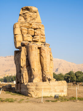 Seated statue, one of the Colossi of Memnon, near the Valley of the Kings, where for a period of 500 years rock tombs were excavated for pharaohs, UNESCO World Heritage Site, Thebes