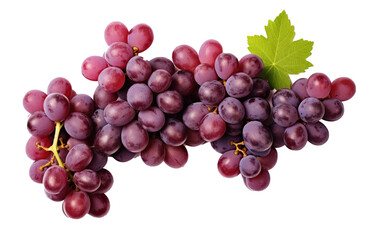 Fototapeta premium Fresh Grapes Isolated on transparent Background, Vibrant and Juicy Grape Cluster 