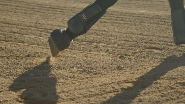 Close up on horse hoofs running and jumping in slow motion