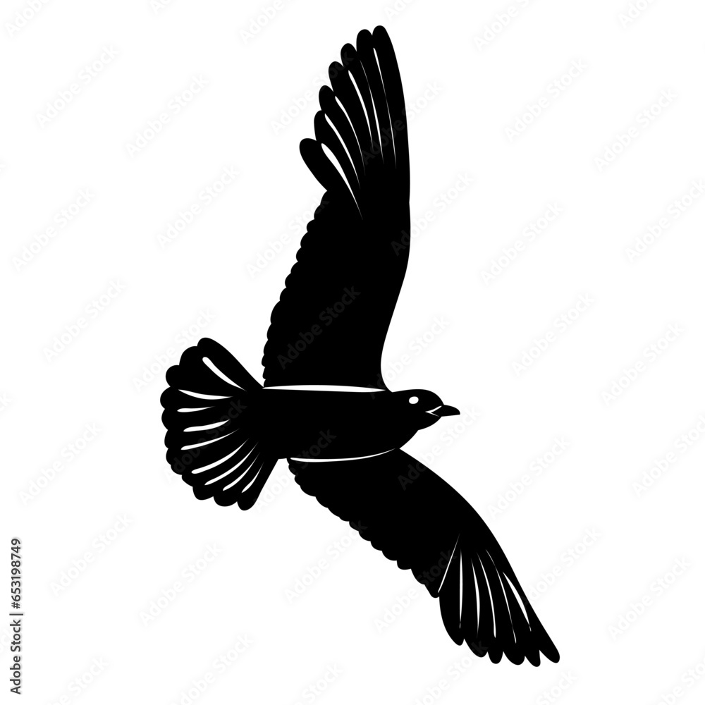 Wall mural silhouette of a flying seagull on a white background, vector