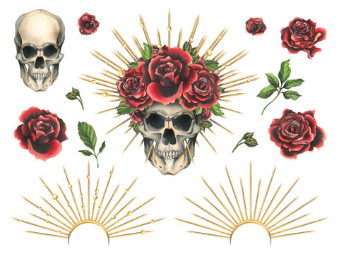 Human skull with red flowers rose in a golden crown with thorns, rays. Hand drawn watercolor illustration for day of the dead, halloween, Dia de los muertos. Set of elements on a white background