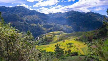 Landscape with green and yellow rice terraced fields and  blue cloudy sky near  Yen Bai province, North-Vietnam