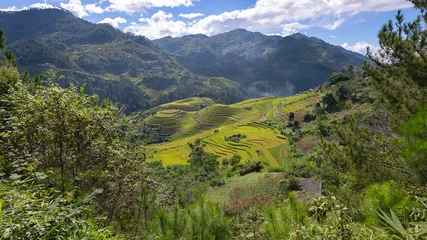 Photo sur Plexiglas Mu Cang Chai Landscape with green and yellow rice terraced fields and  blue cloudy sky near Mu Cang Chai, Yen Bai province, North-Vietnam