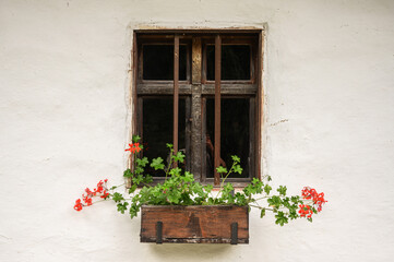 Old window with red flowers. The beautiful window of an old, traditional house. 