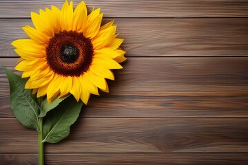 Beautiful sunflower on a wooden table top view, floral autumn background flat lay with copy space