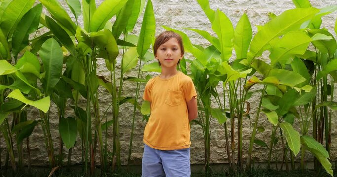 Portrait of friendly boy, he looks straight to camera, waist-up shot. Green leaves of tropical plant and wall on background, slow motion footage