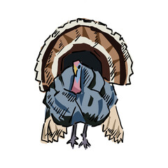 turkey drawing vector