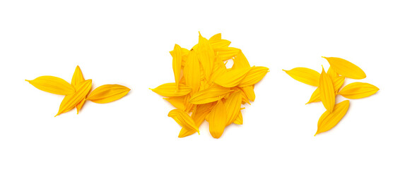Yellow Petals Isolated, Sunflower Petal Pile, Orange Blossom Design - obrazy, fototapety, plakaty