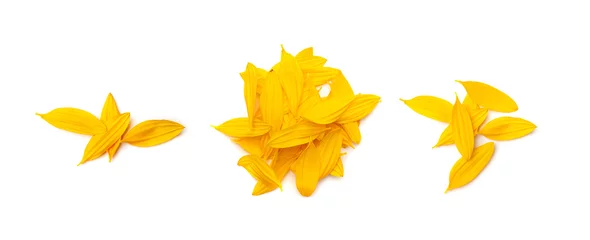 Zelfklevend Fotobehang Yellow Petals Isolated, Sunflower Petal Pile, Orange Blossom Design © ange1011