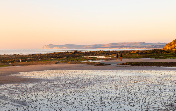 A view of Cap Blanc Nez from Cap Gris Nez at sunset, Cote d'Opal, Pas de Calais, France