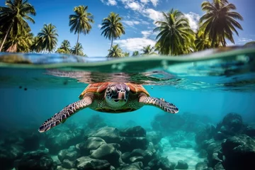 Gordijnen Sea turtles swimming split-view tropical island with beach and palms background with empty space for text  © fotogurmespb
