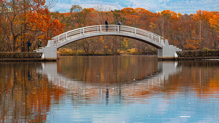 A bowed Hakamagoshi Bridge on Lake Onuma on a vibrant autumn day, Hokkaido, Japan