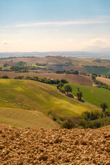 Beautiful rural landscape, countryside in Marche region, Italy
