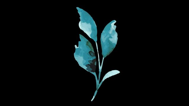 Green Tri-leaf's isolated on transparent