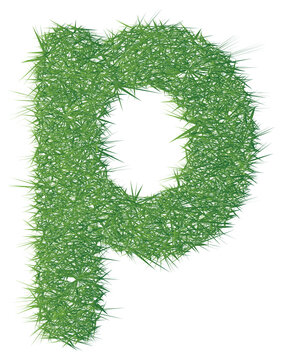 Small letter p q r s t texture green grass