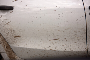a dirty white car, splattered with mud.