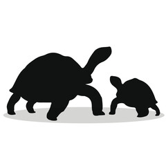 Aldabra Giant Tortoise silhouettes and icons. black flat color simple elegant Aldabra Giant Tortoise animal vector and illustration.