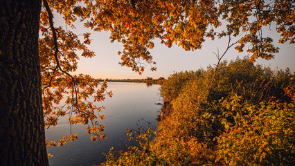 View of the river from under the red-orange foliage of the autumn forest. Landscape of the Pripyat River, which flows into the Dnieper in Ukraine. In photo wallpaper format for TV or monitor