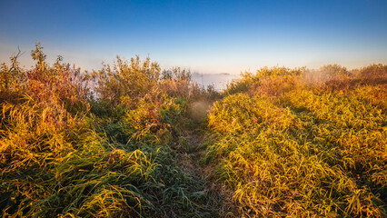 Autumn withered grass and Fog on a winding river, foggy morning and bright sunny color. on the Belarusian river Pripyat.