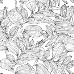 Foliage seamless pattern, plant, Solomon's seal (Polygonatum multiflorum) branch leaves line art ink drawing in black and white.