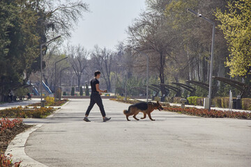 Walking with a dog, a teenager and a German Shepherd in the street