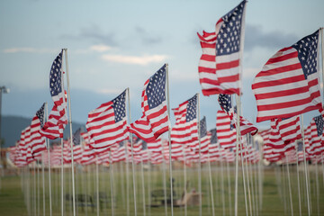 bandiere americane al vento 