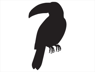 Toucan silhouette vector art white background