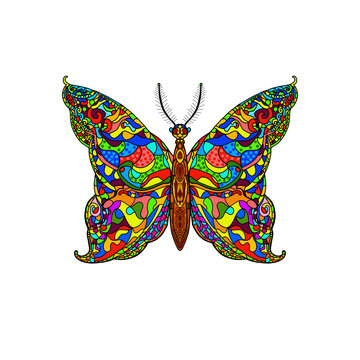 Farfalla multicolore