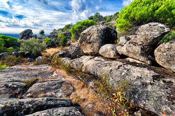 Granito en Valdelavieja