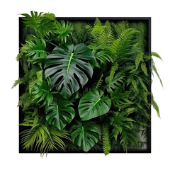 Tropical leaves foliage plants bush floral arrangement nature backdrop on transparent background