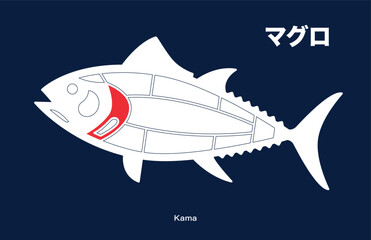 Kama, Tuna japanese Cuts diagram on blue background.