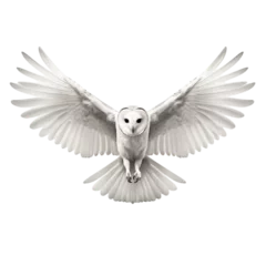 Kissenbezug an white barn owl with wings spread © Avalga