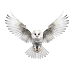 Fotobehang Uiltjes an white barn owl with wings spread