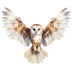 Crédence de cuisine en verre imprimé Dessins animés de hibou an white barn owl with wings spread