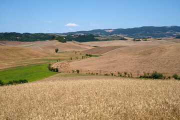 Country landscape near Volterra, Tuscany