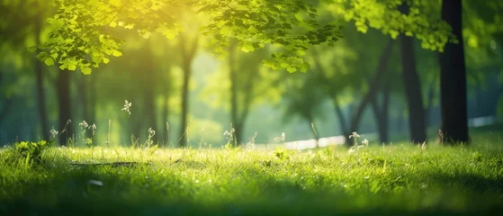 Fototapeten Summer Beautiful spring perfect natural landscape background, Defocused green trees in forest with wild grass and sun beams, Generative AI © Onchira