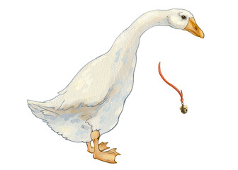 Full-length large white goose with a bell for its neck. A mature goose with white plumage, orange legs and beak. For printing logos, emblems of veterinary hospitals, livestock farms. Color drawing.