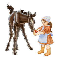 A little girl feeds an apple to a foal from her hand. Retro style, childhood on the farm. Full length front view of the foal. For printing logos, emblems of veterinary hospitals, horse breeding. High