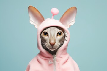 Headshot portrait photography of a funny oriental shorthair cat wearing a lobster outfit against a pastel or soft colors background. With generative AI technology