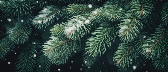 close up snow-covered fir green branches and snowfall flakes, Christmas banner background, Generative AI
