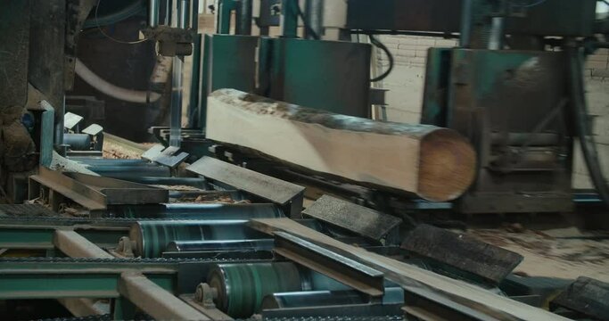 Lumber factory working machine cut log wood on boards 