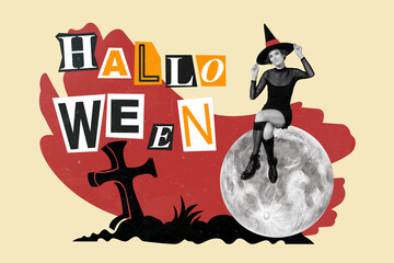 Artwork collage of mini black white effect sorcerer girl sit full moon graveyard halloween postcard...