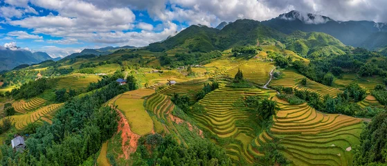 Selbstklebende Fototapeten Aerial view of rice field or rice terraces , Sapa, Vietnam. Y Linh Ho village, Ta Van valley © Dong