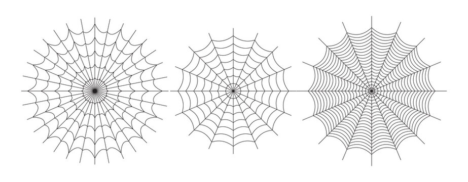 Symmetrical spider web icon. Geometric halloween badge. Minimal spooky sticker.