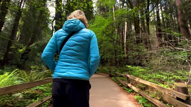 POV Muir Forest female walking Giant Redwoods trees 